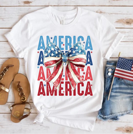 America T-Shirt