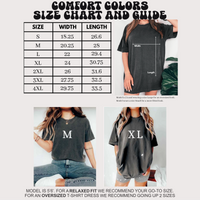 Retro Bull Elk Wilderness Scene Shirt - Printed On Comfort Colors