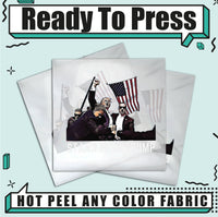 Stand With Trump 2024 Election Ready To Press DTF Transfers