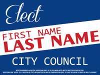 ELECT CITY COUNCIL P-02