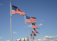 Elite Series (Vanguard) Internal Halyard Flagpoles