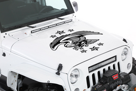 Eagle Hood Graphic