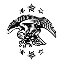 Eagle Hood Graphic