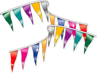 Metallic Rainbow Pennant String - 60 ft Long