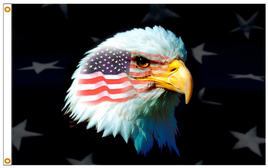 Patriotic Eagle
