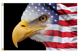 USA Flag Eagle