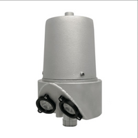 Internal Halyard Beacon