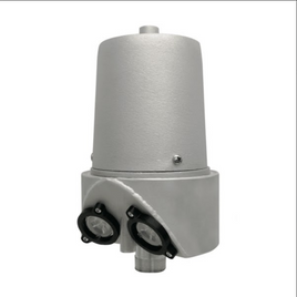 Internal Halyard Beacon