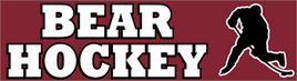 Bumper Stickers - #406 One Color - 3" x 9"