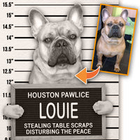 Dog Mugshot Custom Pet Mugshot of your Dog, Cat or Pet