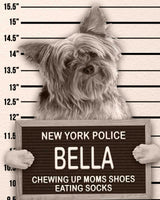 Dog Mugshot Custom Pet Mugshot of your Dog, Cat or Pet