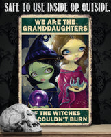 We Are The Granddaughters - Metal Sign